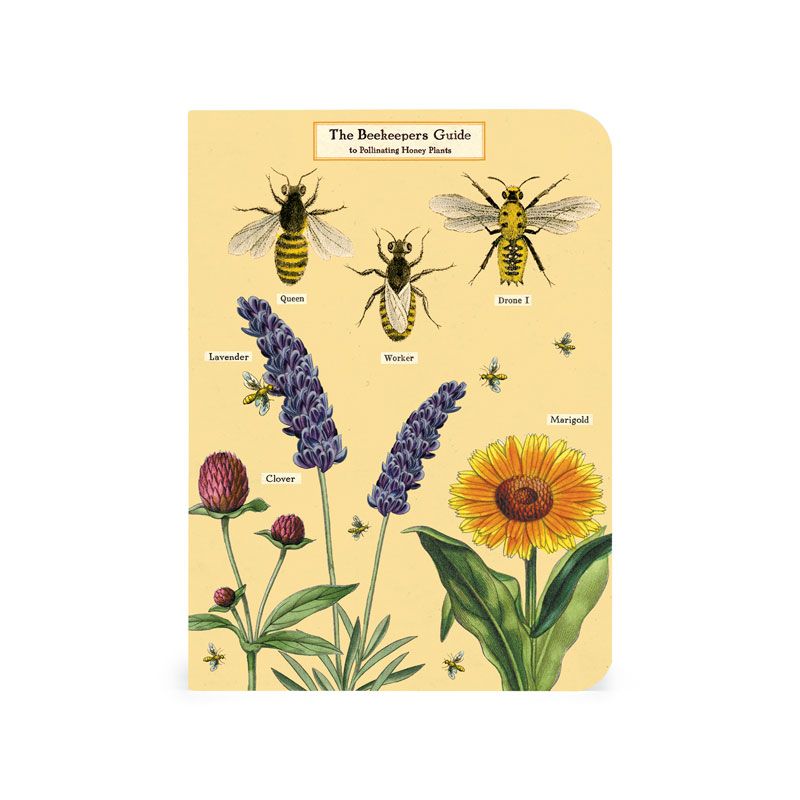 Honey Bees 3 Mini Notebooks