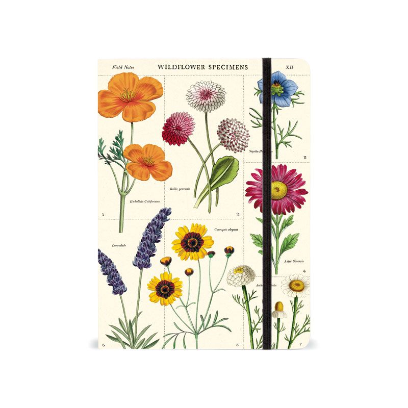 Wildflowers Large Notebook