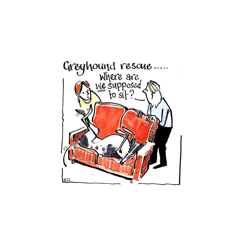 Considerations when adopting a Greyhound Greetings Card