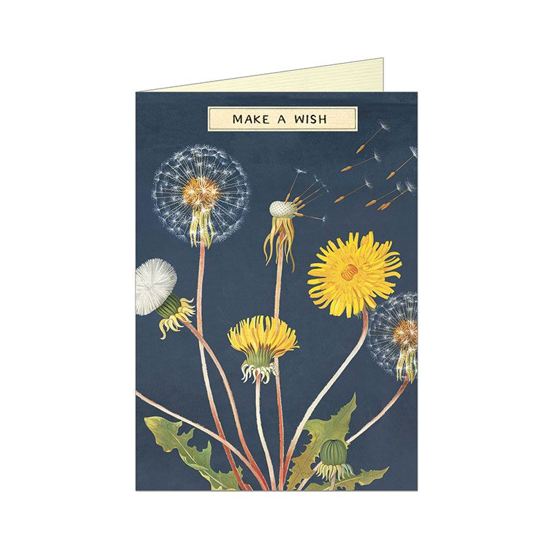 Make A Wish Dandelion Greetings Card