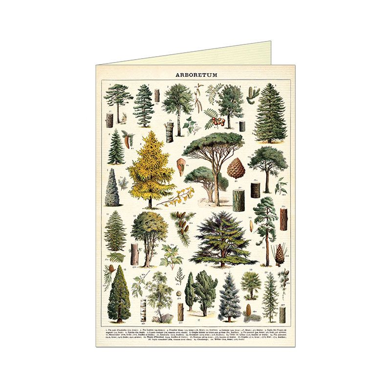 Arboretum Greetings Card