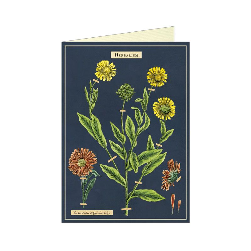 Herbarium Greetings Card