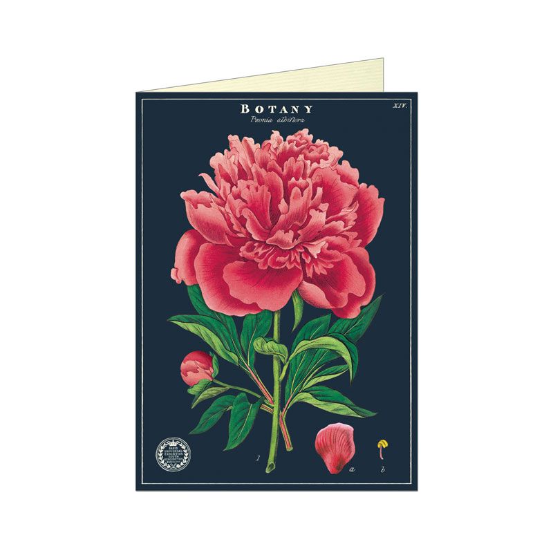Botany Series Greetings Card