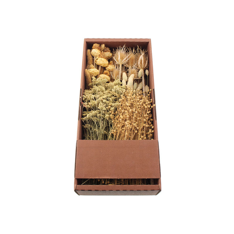 Mixed Dried Flowers 500 grams per Box