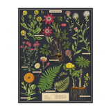 Herbarium Vintage Puzzle - 1000 pieces