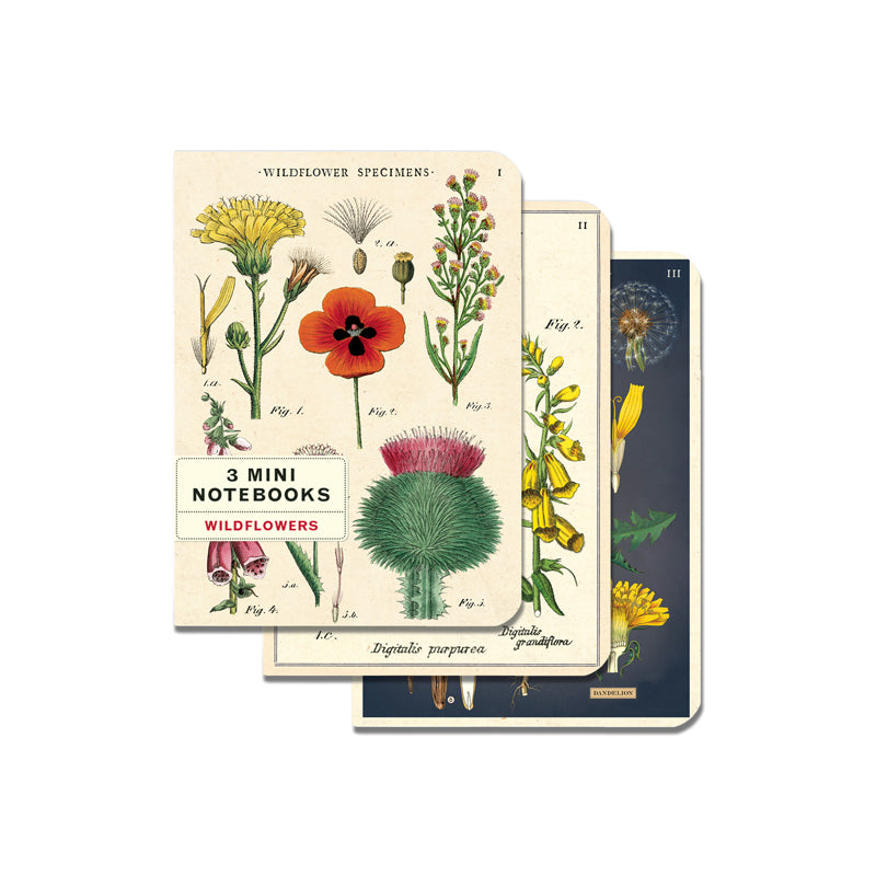 Wildflowers 3 Mini Notebooks