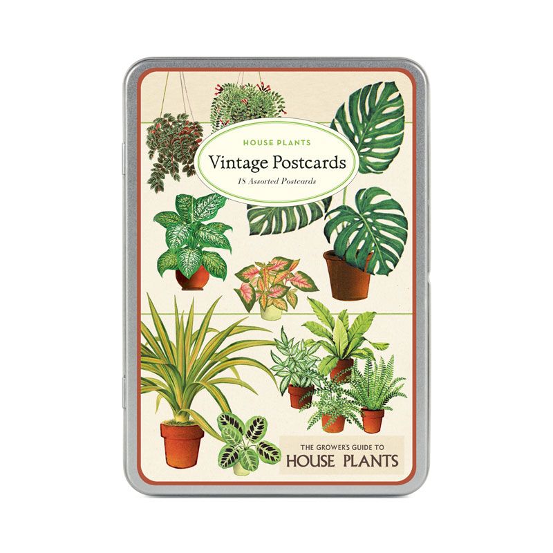 House Plants Vintage Postcards in Tin