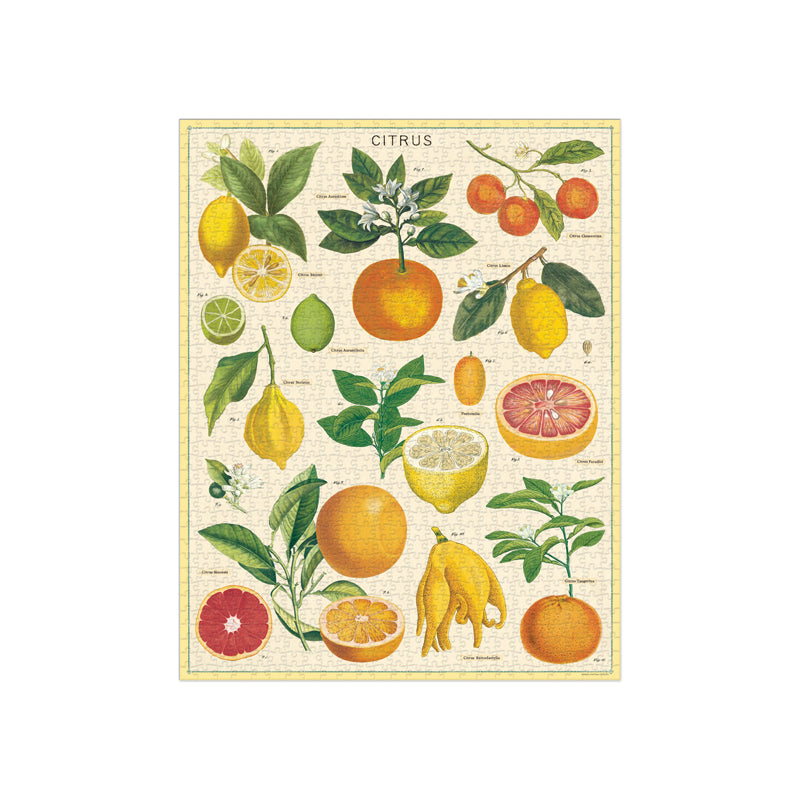 Citrus Vintage Puzzle - 1000 Pieces