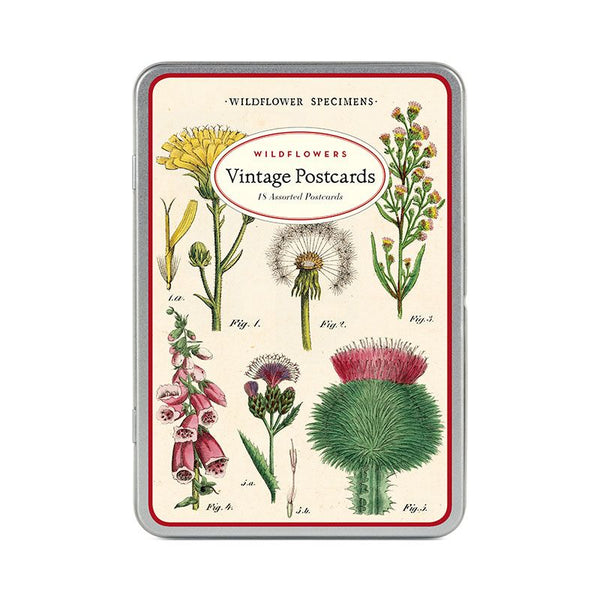 Wildflowers Vintage Postcards in Tin