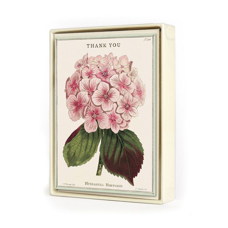 Thank You Fleur 1 Boxed Notecards