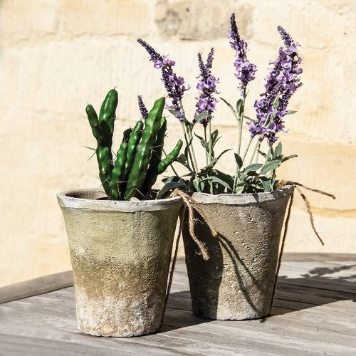 Antiqued Whitestone Cactus Pot