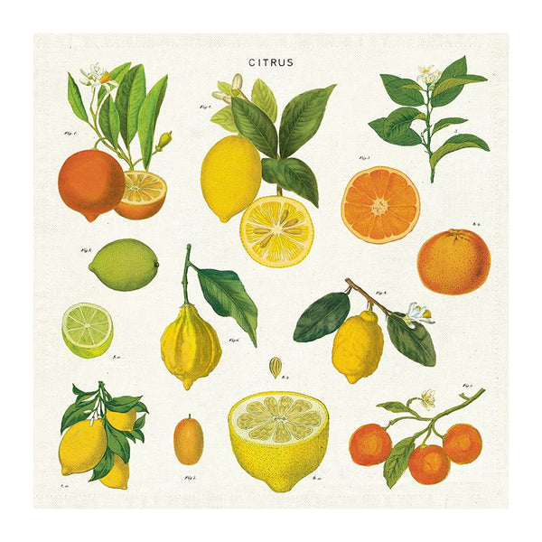 Citrus Vintage Napkins - Set of four