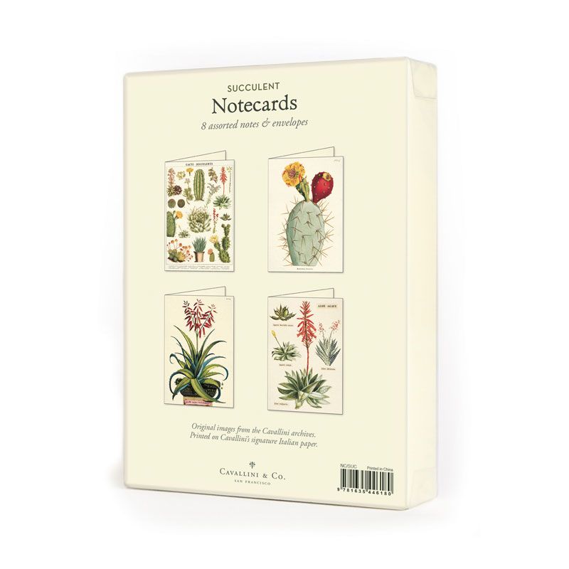 Succulents Boxed Notecards