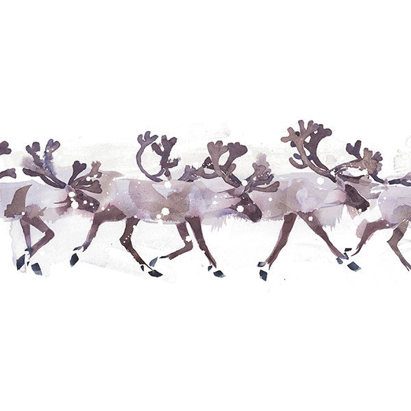 'Reindeer' Limited Edition Framed Print