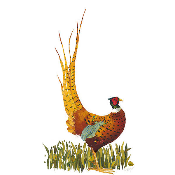 'Ruffled Pheasant' Limited Framed Edition Print