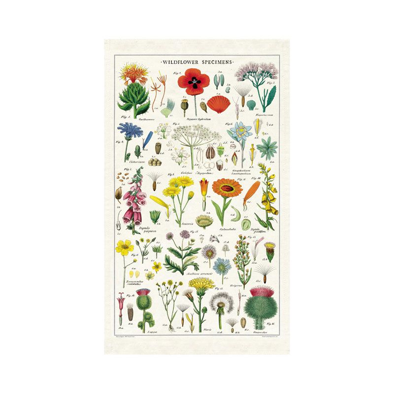 Wildflower Specimens Tea Towel